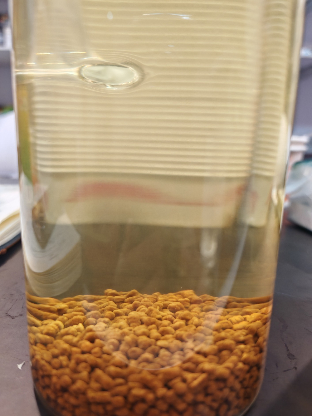 59300 Чай Гречишный "Ку Цяо Чёрная Греча" темная обжарка