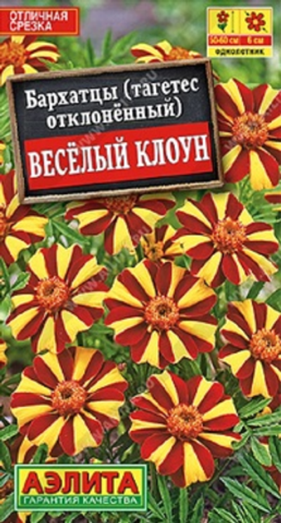 Бархатцы Веселый клоун отклоненные