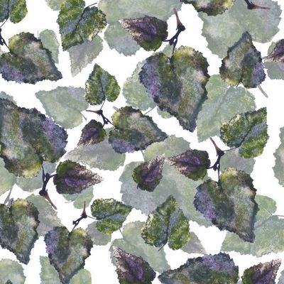 Листья берёзы №6.