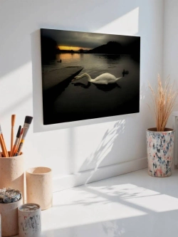 Картина на стену 40 X 50 Лебедь