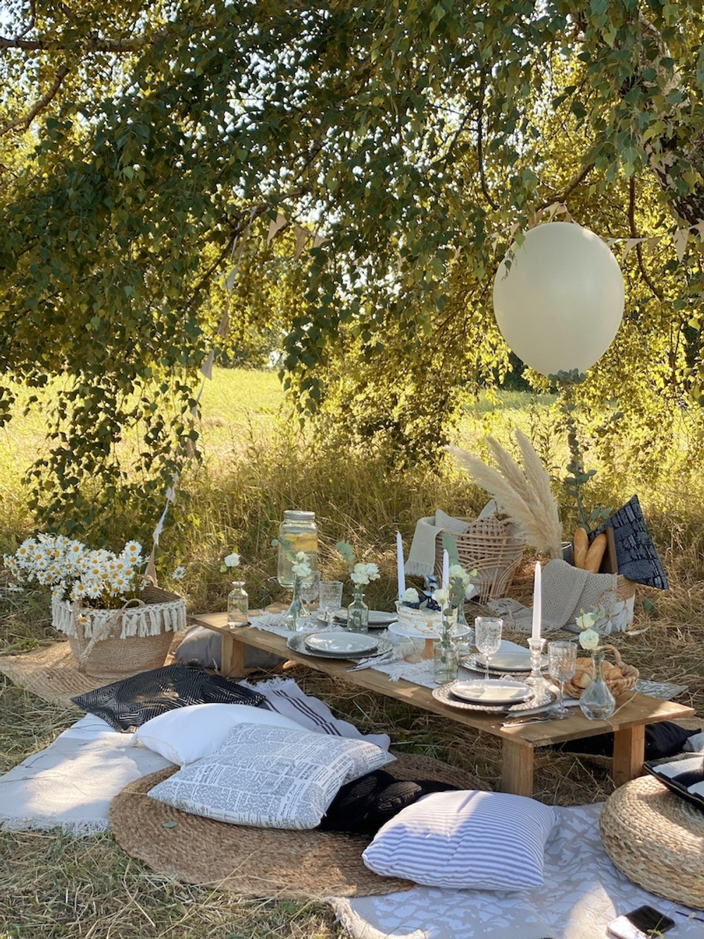 Daisy Picnic