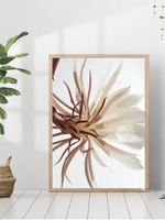 Набор постеров 50х70 HOME 3 шт арт 156272444 ТТН 246258980