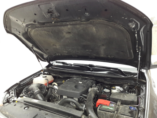 Амортизатор (упор) капота на Ford Ranger 03-01(с 2011 по 2015 г.в.)Autoinnovation