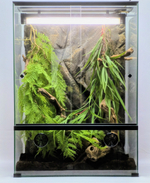 Полный комплект для Бананоеда. Террариум 40х30х50 и всё необходимое для содержания.