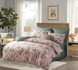 Постельное белье СайлиД B-227 сатин