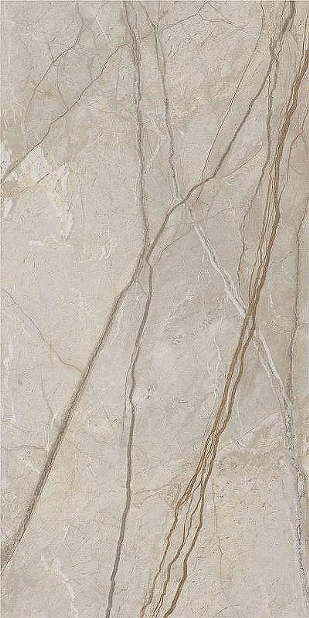 Керамогранит Italon Stellaris Elegant Silver рет 610010002835 60х120 см