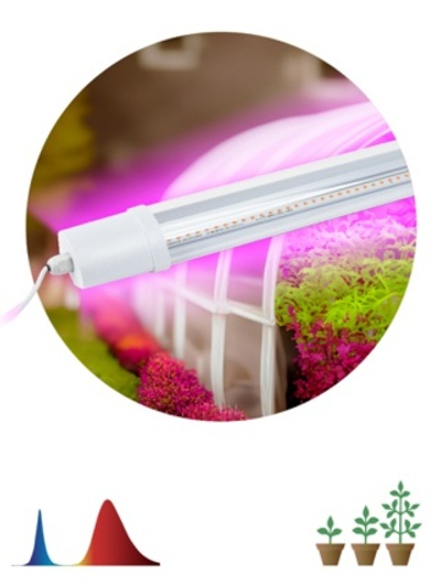 Светильник для растений, фитолампа светодиодная линейная ЭРА FITO-24W-RB-N красно-синего спектра 24
