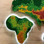 Карта мира из стабилизированного мха ягеля для супермаркета "Табрис"  г.Краснодар