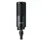 Shure SM4 Black
