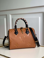 Louis Vuitton Speedy 25