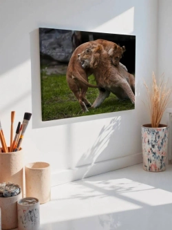 Картина на стену 40 X 50 Лев и львица