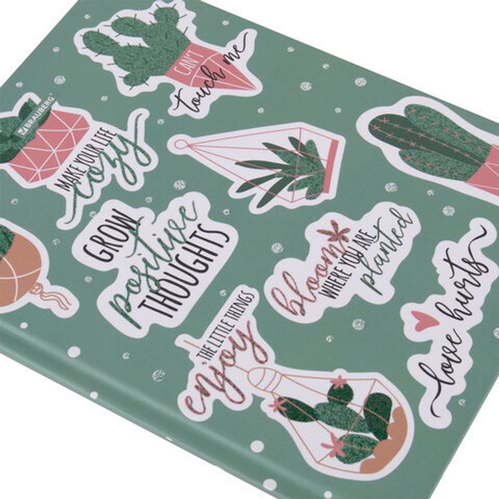 Дневник 5-11 класс 48 л., твердый, BRAUBERG, блестки, с подсказом, "Кактусы", 106420