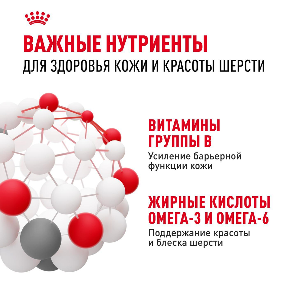 Royal Canin Mini Dermacomfort Корм сухой для взрослых собак мелких размеров 1кг