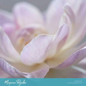 Аффирмации - Женская сексуальность и привлекательность