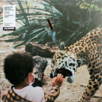 Unknown Mortal Orchestra / V (Coloured Vinyl)(2LP)