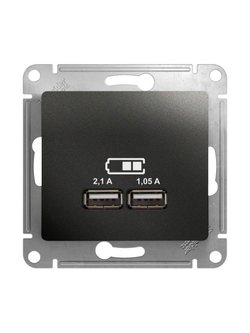 Розетка USB 2-м СП Glossa тип A+A 5В/2100мА 2х5В/1050мА механизм антрацит SE GSL000733