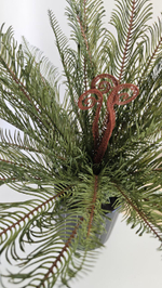 Папоротник Блехнум / Арт 6389