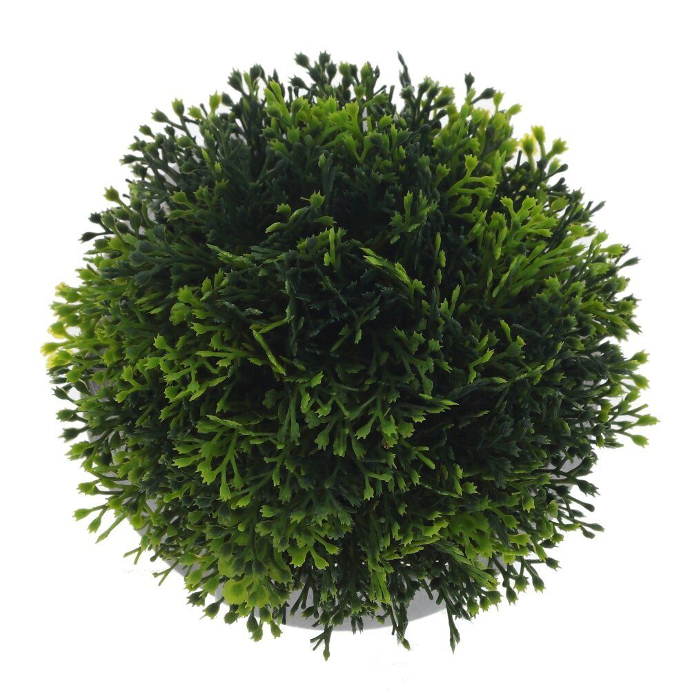 GAEM Цветочная композиция "Самшит", L12 W12 H11 см