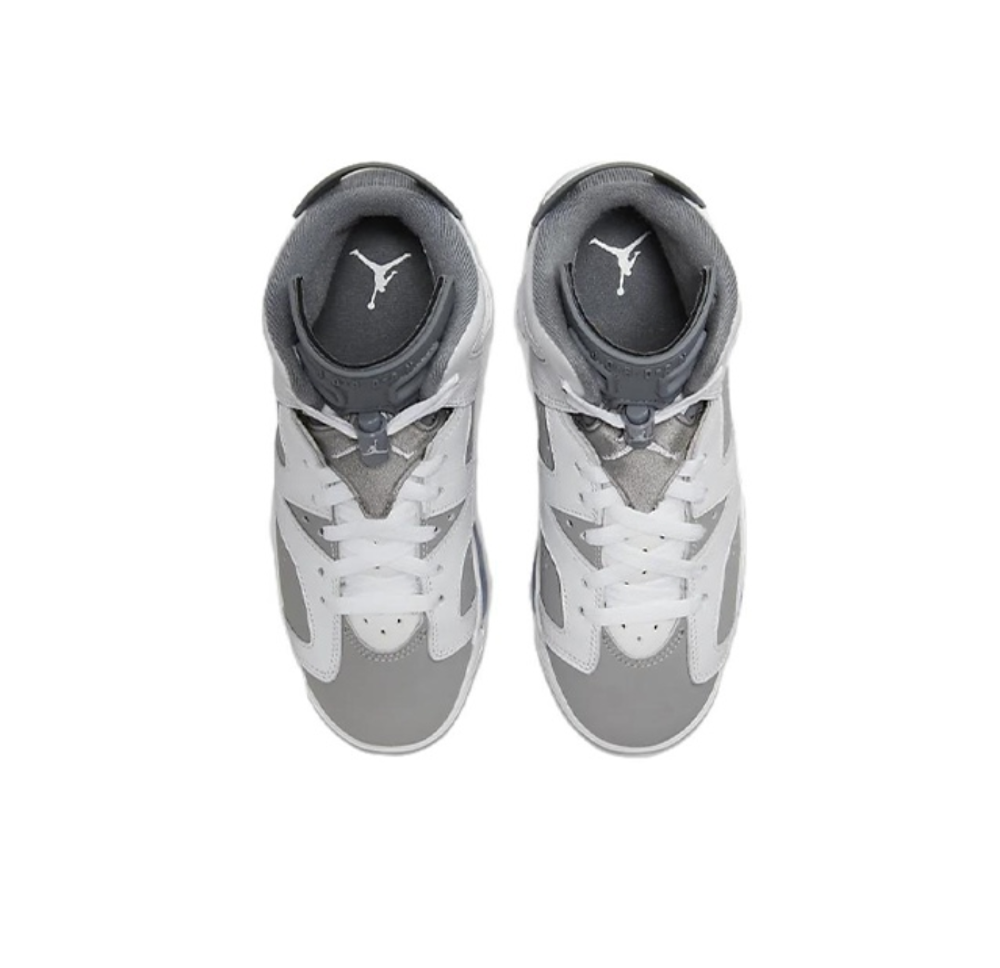 Женские кроссовки Air Jordan 6 retro "cool grey" 384665-100