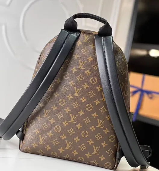 Рюкзак Louis Vuitton Discovery PM канва Monogram Macassar