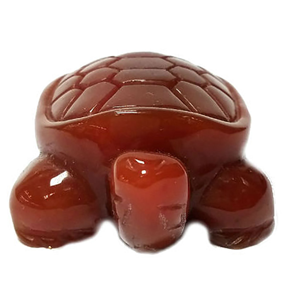 Черепаха сердолик асс.