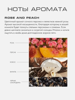 Rose and Peach L