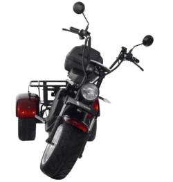 Электроскутер SKYBOARD CITYCOCO TRIKE BR80