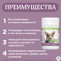 Polidex Glucogextron PLUS для собак Хонтропротектор для профилактики повреждений и восстановление суставов, связок, сухожилий, соединительной ткани Полидекс Глюкогекстрон Плюс, 150таб