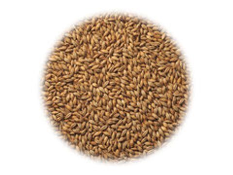 Солод Chateau Whisky (Шато Виски)