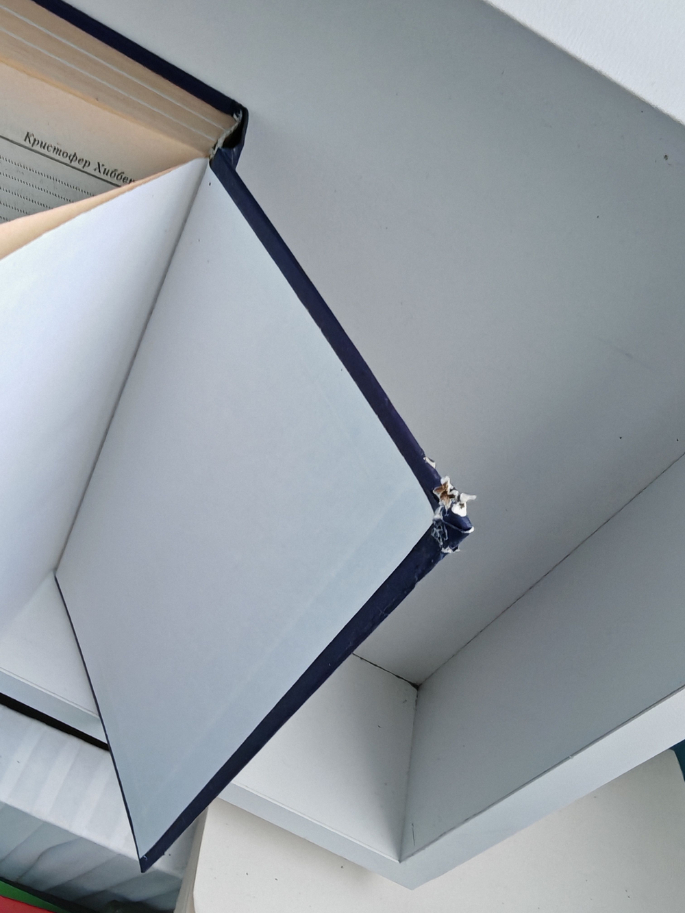 Королева Виктория (Дефект)