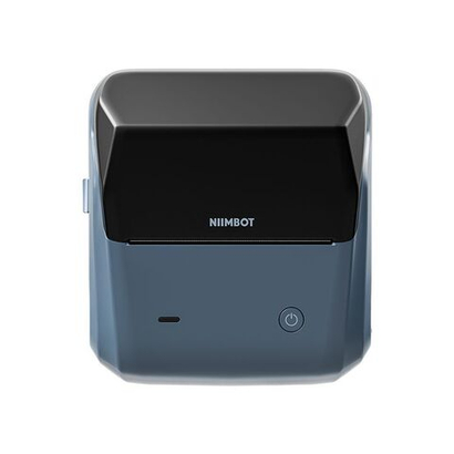 Принтер NIIMBOT B31 Lake blue