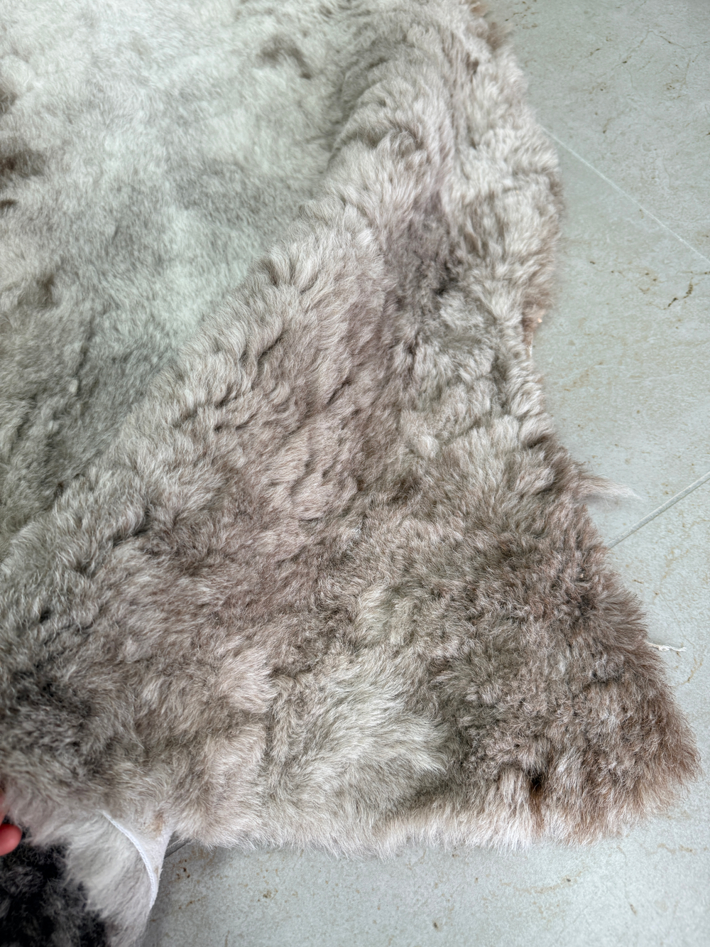 Шкура коврик меховой прикроватный овчина, 100х65 см.