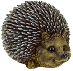 Ёжик круглый средний