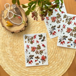 стикерпак «ботаника» 🌸🌿