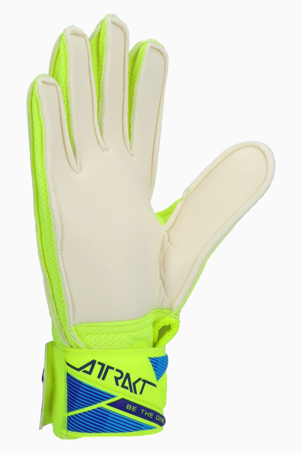 Вратарские перчатки Reusch Attrakt Solid Junior - зеленый