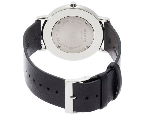 Мужские часы Skagen SKW6419