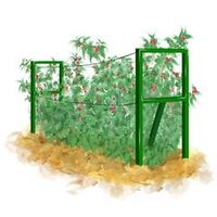 Обустройство сада