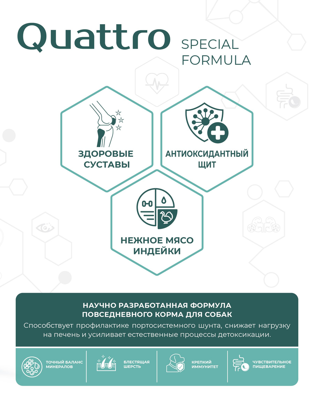 Корм для собак мелких пород SF Hepato Flow, (портосистемный шунт), 800 гр, QUATTRO