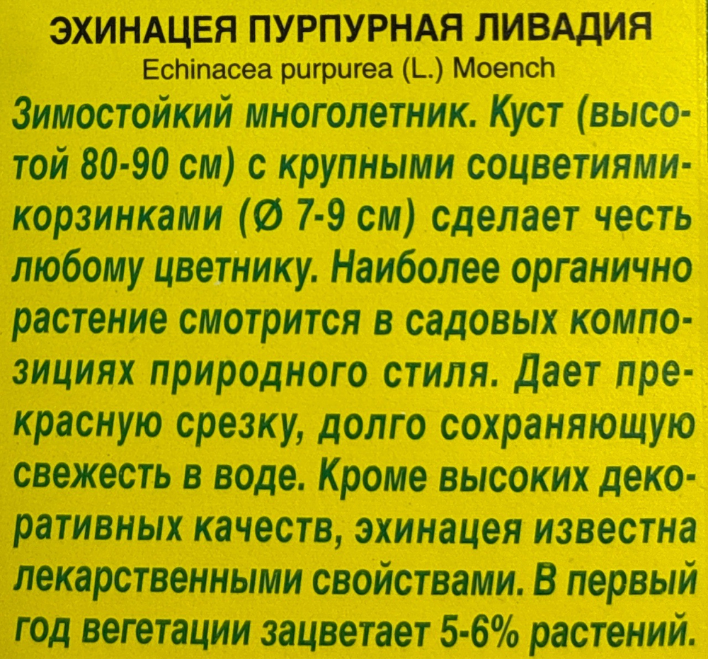 Эхинацея пурпурная Ливадия СМЦ-671