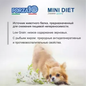 Forza 10 Корм для собак мини пород гипоаллергенный Mini Diet Agnello con Riso с ягненком и рисом