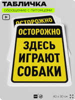 Табличка "Осторожно, здесь играют собаки" на дверь и забор, для двора, дома, подъезда, 40х30 см, Silver Plane x Айдентика Технолоджи