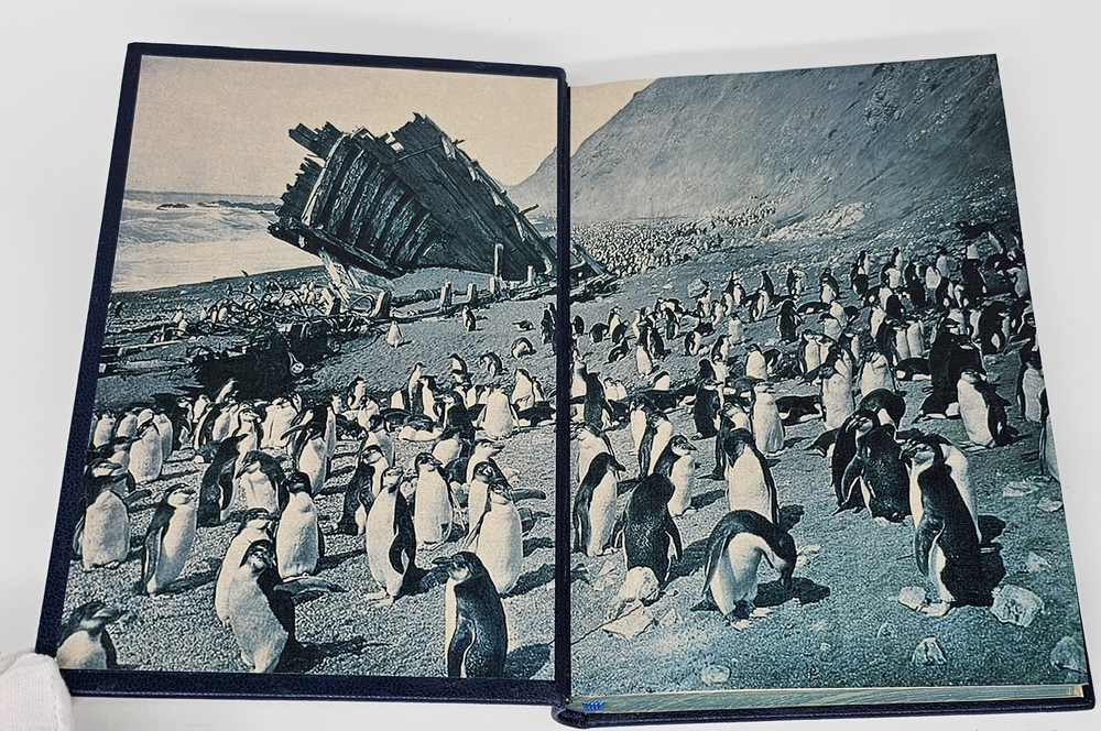 "Снова в Антарктике. (Вторая антарктическая экспедиция)". Бэрд Ричард Визе В.Ю. 1937 г.