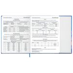 Дневник 1-11 класс 48 л., твердый, BRAUBERG, матовая ламинация, магнитный клапан, закладка-ляссе, с подсказом, "Magic", 107243