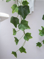 Настенная композиция в кашпо "Плющ"