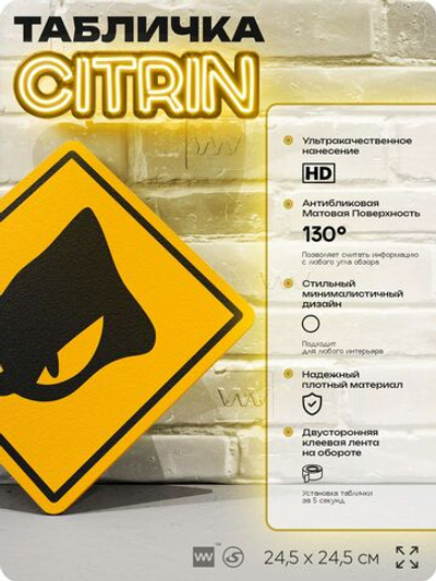 Табличка декоративная "Хамелеон Эспио" на дверь и стену, прикольная штука в подарок в комнату, декоративный знак, 24,5х24,5 см, пластиковая, Айдентика Технолоджи