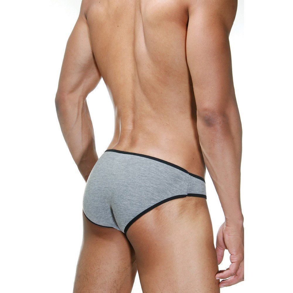 Трусы мужские слипы серые DARKZONE DZN6503