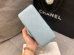 Chanel Bag 17 cm