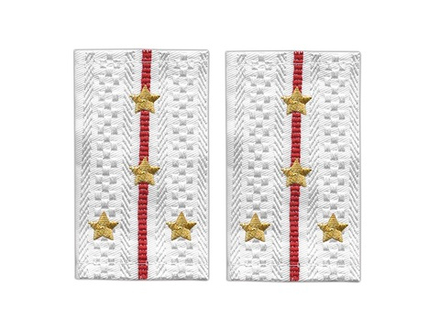 Фальшпогоны Полиция нового образца белые капитан