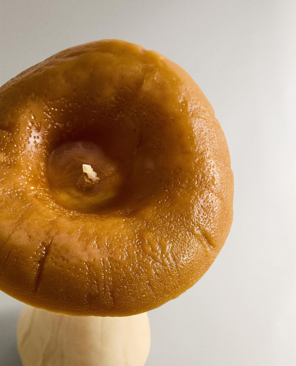 Zara Home - Большая ароматическая свеча гриб тыква spice