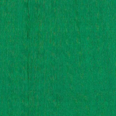 Arte Amazone 2 Fierce – 23509